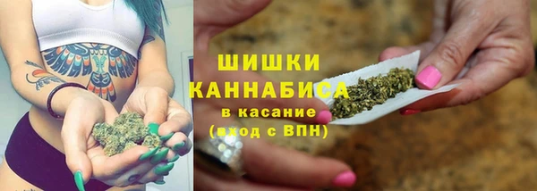 дурь Бронницы