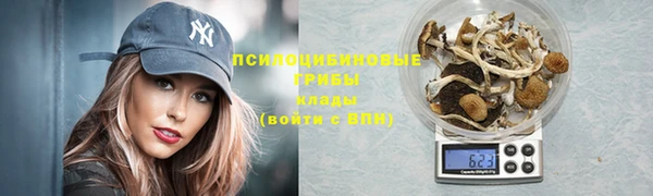 дурь Бронницы