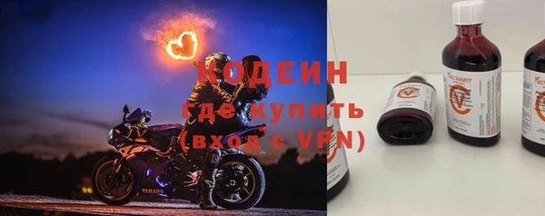 ешки Бородино