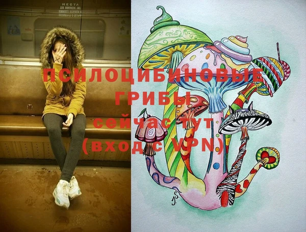 гидропоника Нея