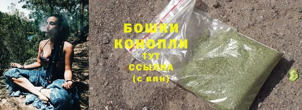 дурь Бронницы
