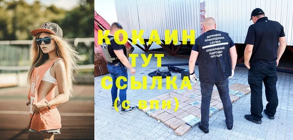 дурь Бронницы