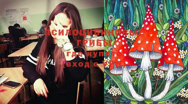 ешки Бородино