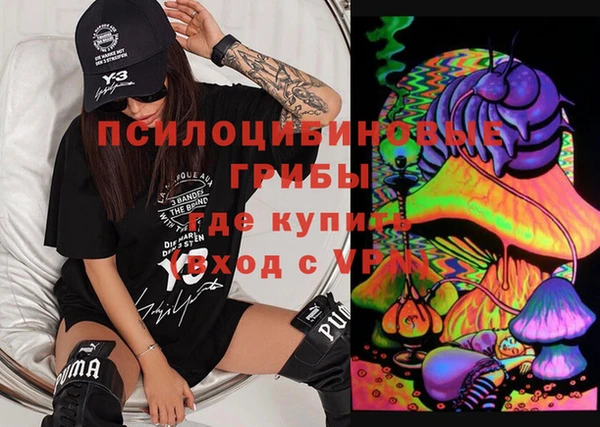 соль ск Снежинск