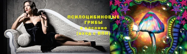 ешки Бородино