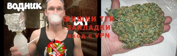 ешки Бородино