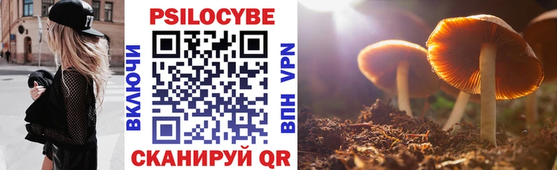 хочу наркоту  Чадан  ОМГ ОМГ   Галлюциногенные грибы прущие грибы 
